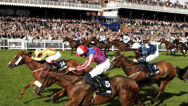 Scottish Grand National takes place this weekend