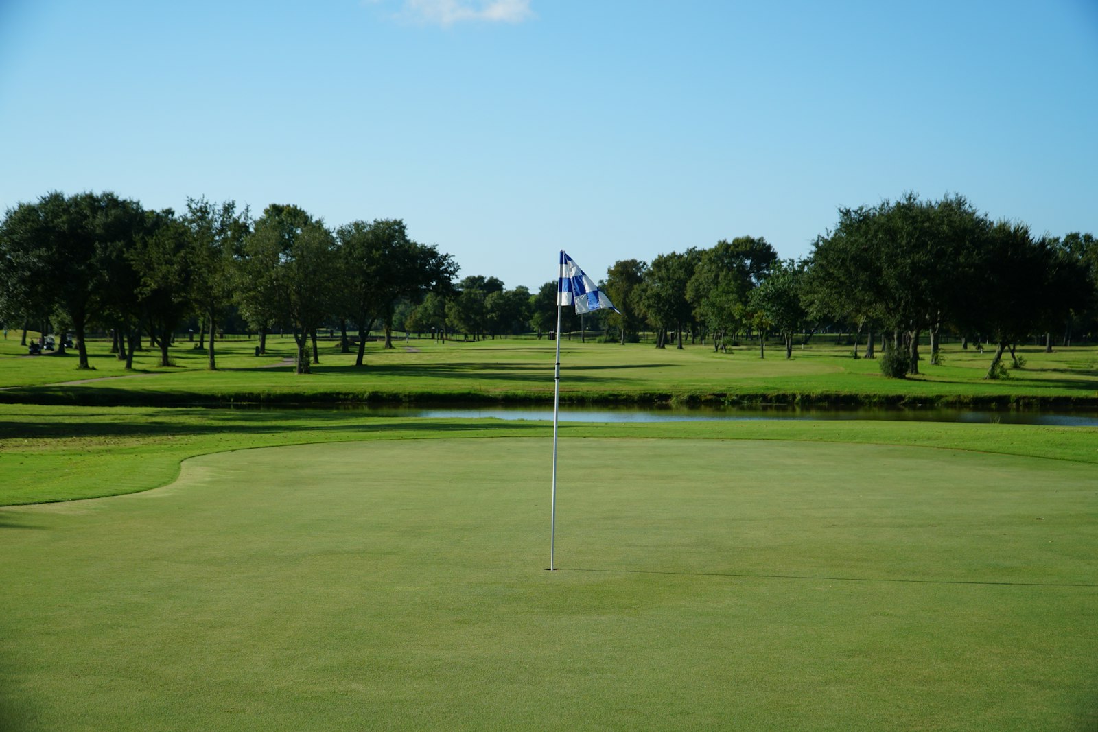 Flag on a golf green on a sunny day