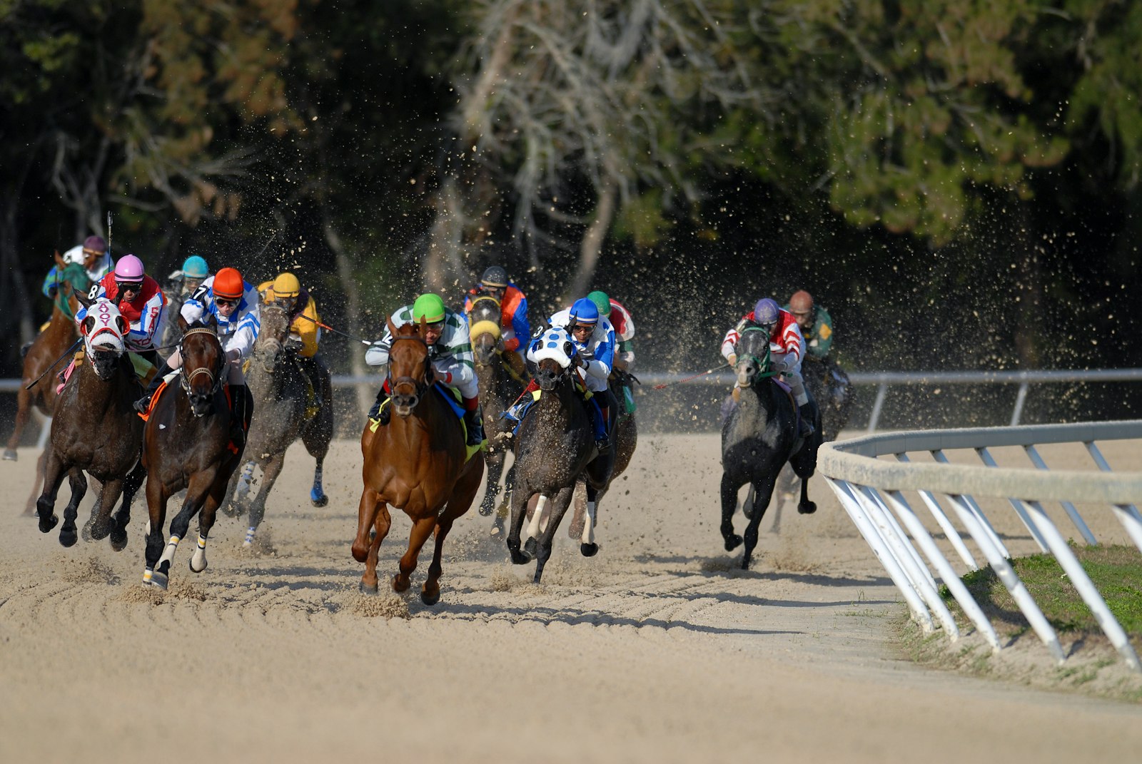 Racehorses and jockeys rounding a bend